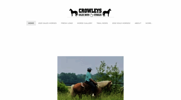 crowleyshorses.com