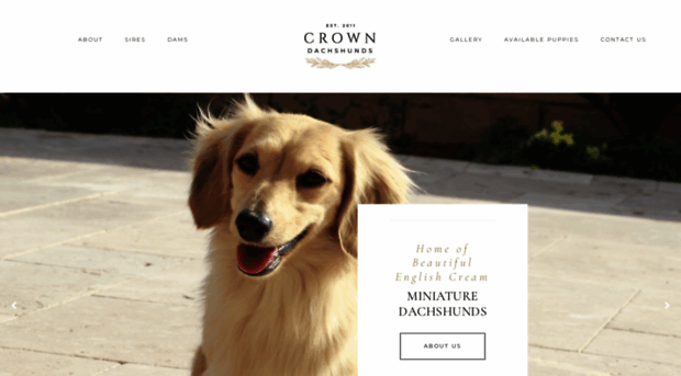 crowndachshunds.com