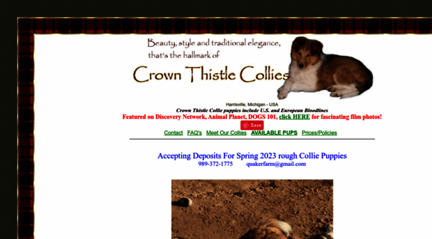 crownthistlecollies.com