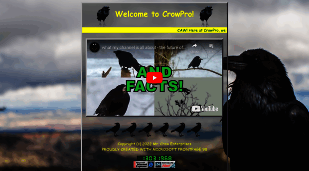 crowpro.net