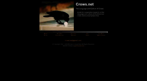 crows.net