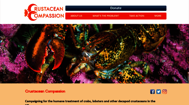 crustaceancompassion.org.uk