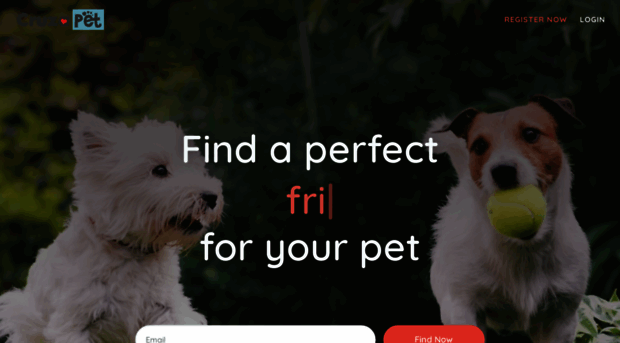 cruzapet.com