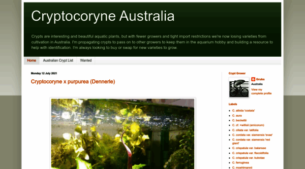 cryptocoryne-au.blogspot.com