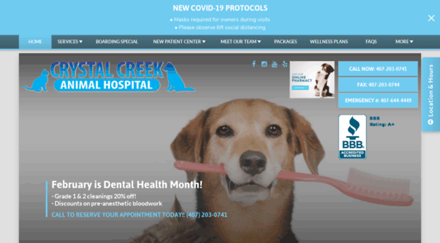 crystalcreekvet.com