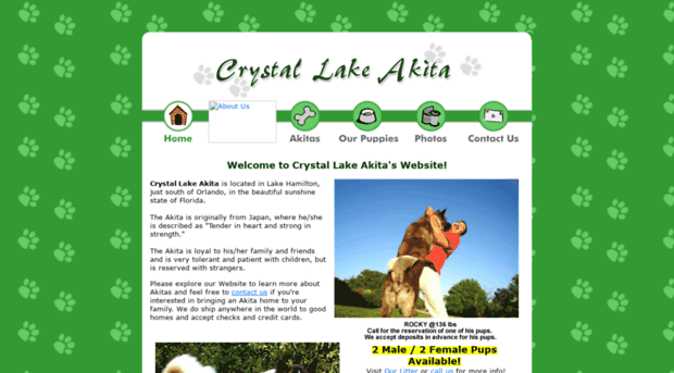 crystallakeakita.com