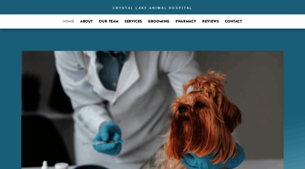 crystallakeanimalhospital.com