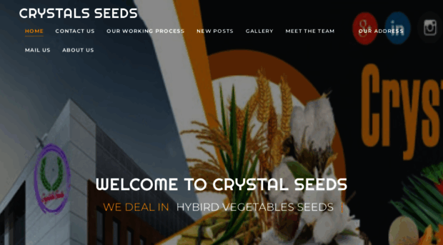 crystalsseeds.blogspot.com