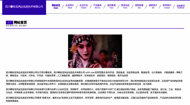 cs991.com