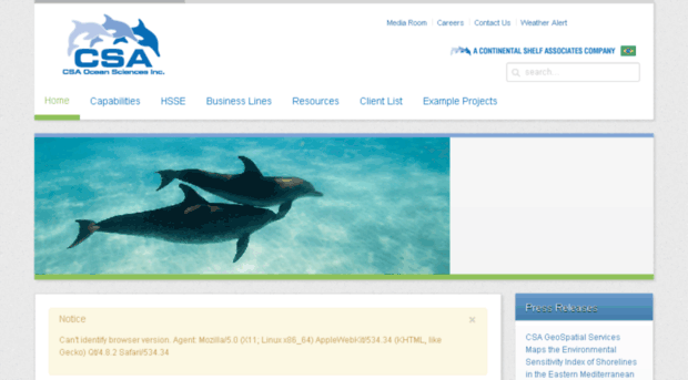 csaocean.cloudaccess.net