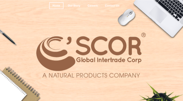 cscorglobal.com