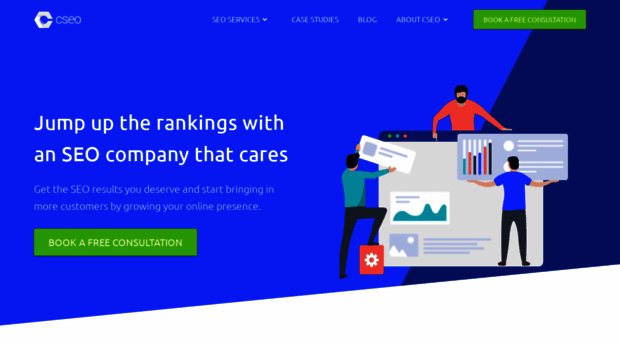 cseo.com