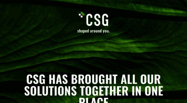 csgfoods.co.za