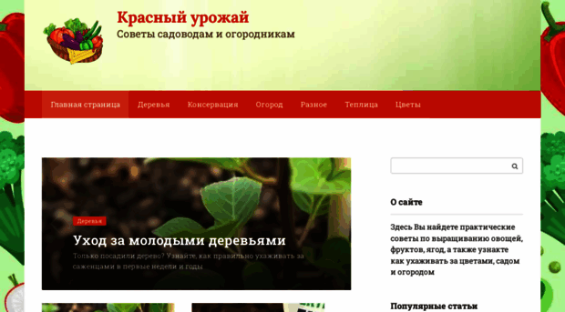 csred.ru