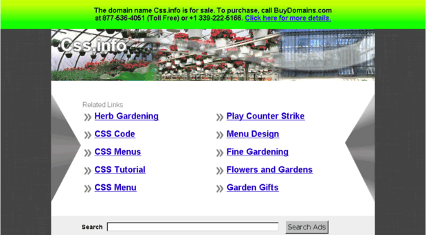 css.info