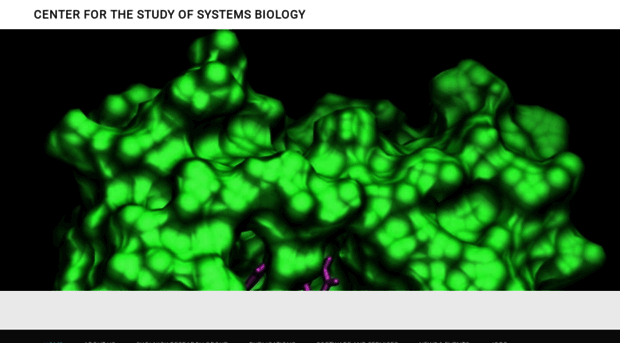 cssb.biology.gatech.edu