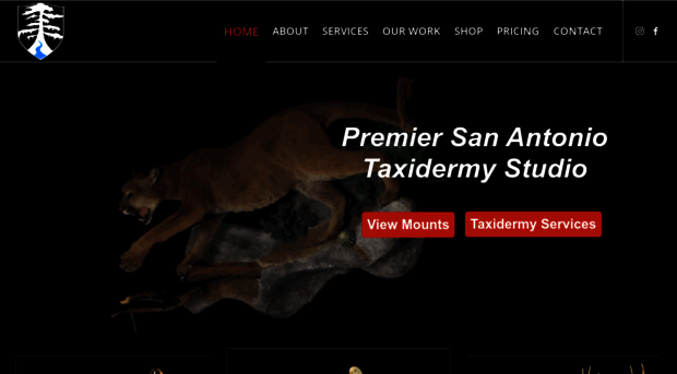 cstaxidermy.com