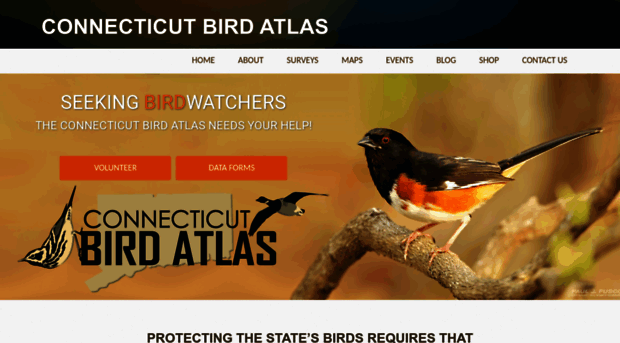 ctbirdatlas.org