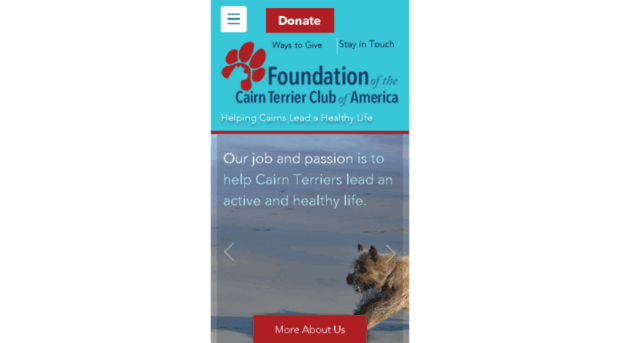 ctca-foundation.org