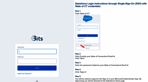 ctds.my.salesforce.com