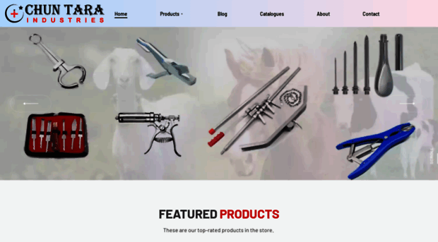 cti-surgivet.com