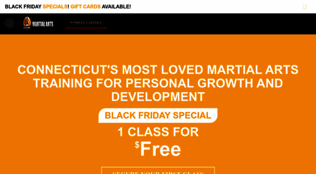 ctmartialarts.com