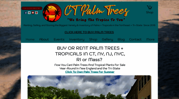 ctpalmtrees.com