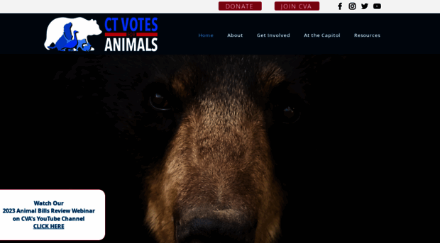 ctvotesforanimals.org