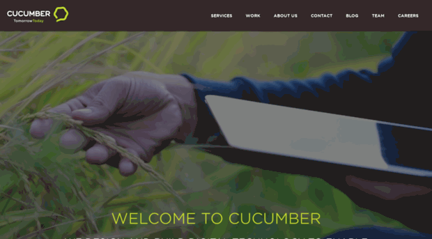 cucumbersoftware.com