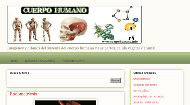 cuerpohumano123.com