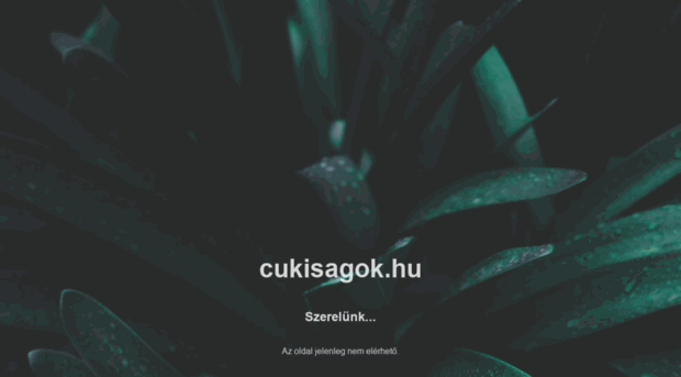 cukisagok.hu