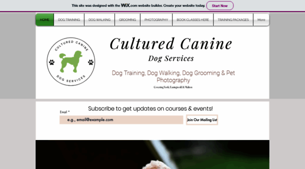 culturedcanine.co.uk