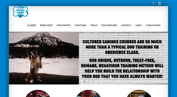 culturedcanines.ca