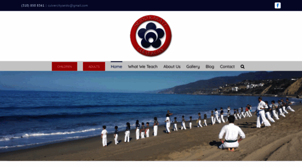 culvercitykarate.com