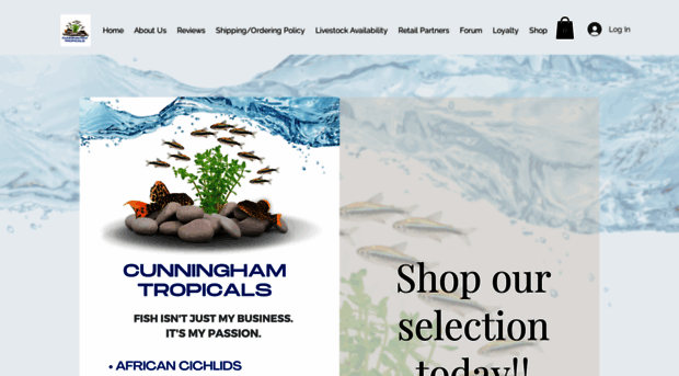 cunninghamcichlids.com