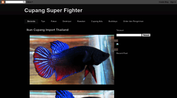 cupangsuperfighter.blogspot.com