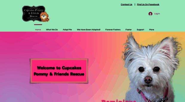 cupcakesrescue.ca