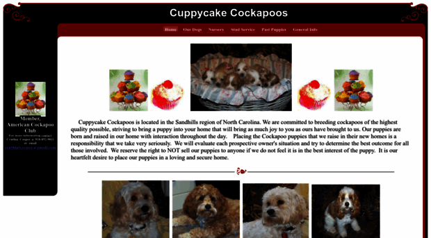 cuppycakecockapoos.com