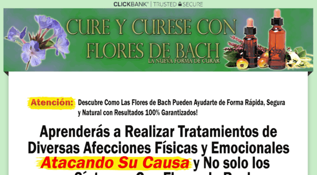 curarconfloresdebach.com