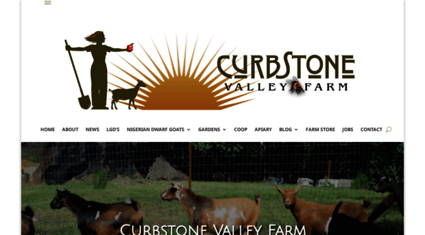 curbstonevalley.com