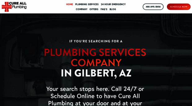 cureallplumbing.com