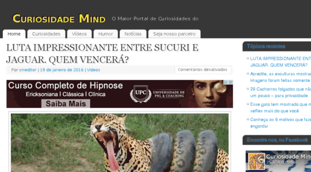 curiosidademind.com.br