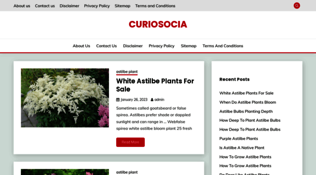 curiosocia.com