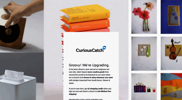curiouscatch.com
