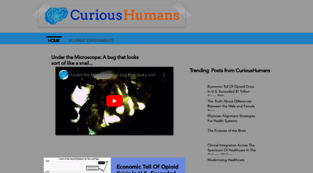 curioushumans.org