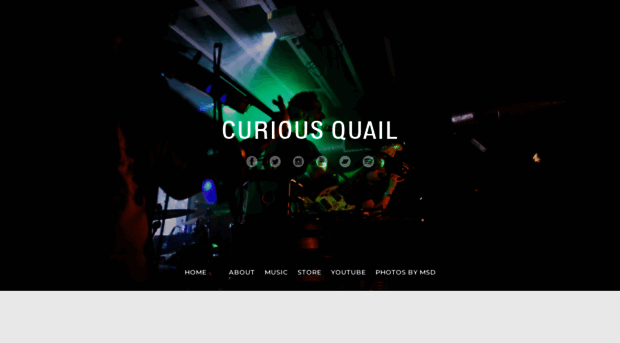 curiousquail.com