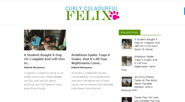 curlycolourfulfelix.com