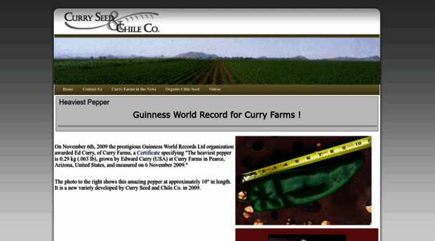 curryseedandchile.com