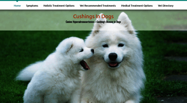 cushingsindogs.com