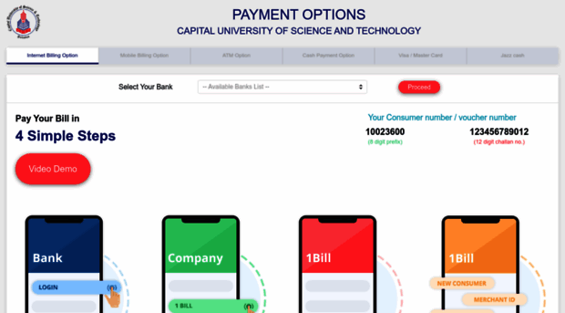 cust.paymentprocessingpage.com
